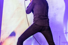 Suede-at-DTRH2016-26_06_2016-05